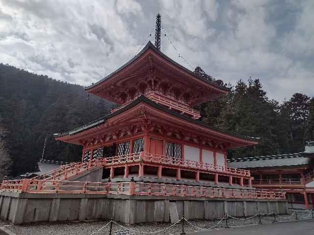 f:id:developingexplorer:20240302175442j:image f:id:developingexplorer:20240302175442j:image