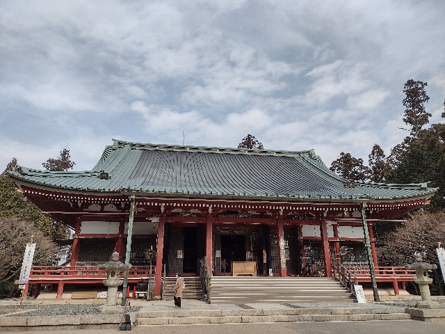 f:id:developingexplorer:20240302175504j:image f:id:developingexplorer:20240302175504j:image