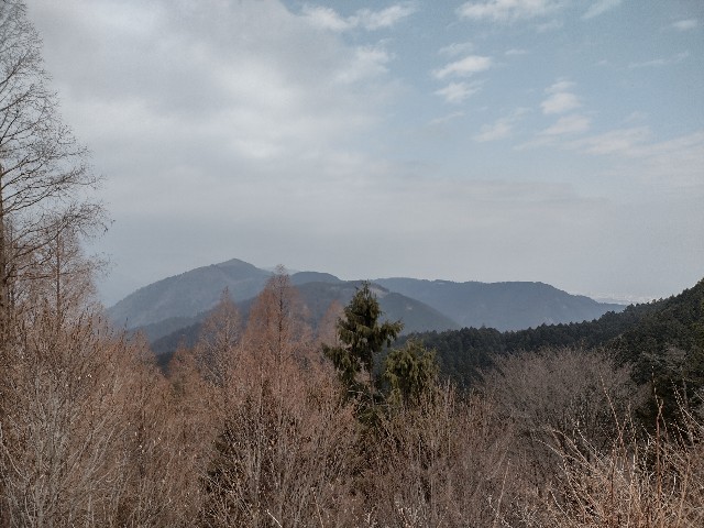 f:id:developingexplorer:20240302175617j:image f:id:developingexplorer:20240302175617j:image
