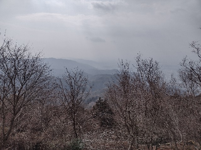 f:id:developingexplorer:20240302175844j:image f:id:developingexplorer:20240302175844j:image