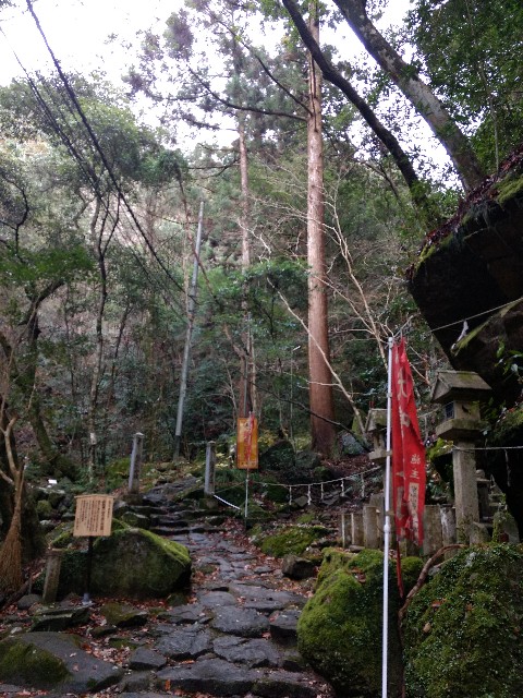f:id:developingexplorer:20240309190159j:image