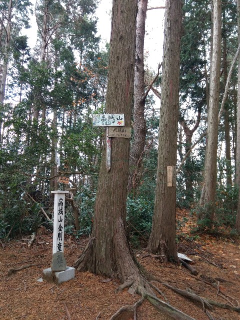 f:id:developingexplorer:20240309190847j:image