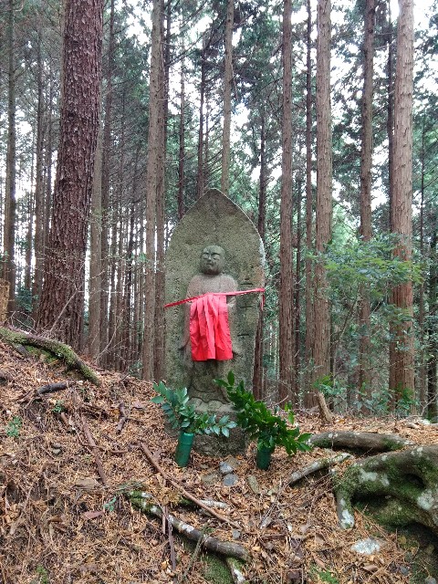 f:id:developingexplorer:20240309191655j:image
