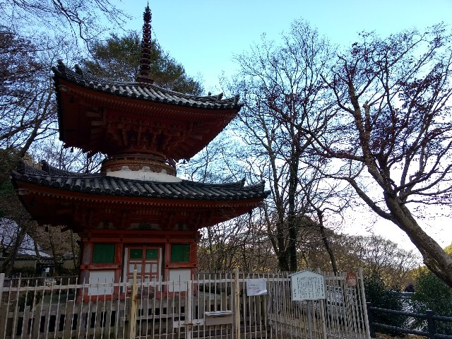 f:id:developingexplorer:20240309192113j:image