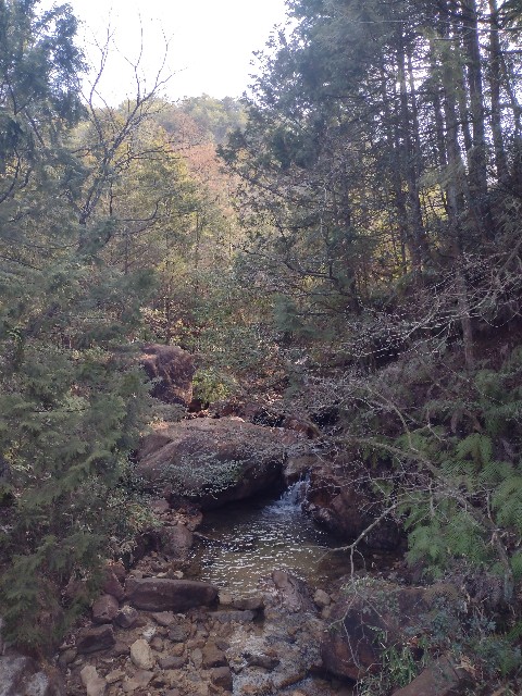 f:id:developingexplorer:20240323200337j:image