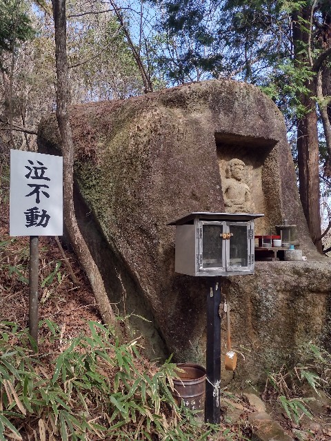 f:id:developingexplorer:20240323200843j:image