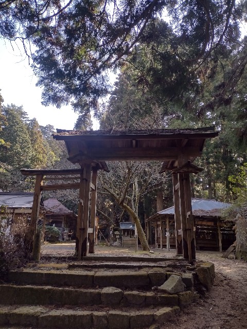 f:id:developingexplorer:20240323202603j:image