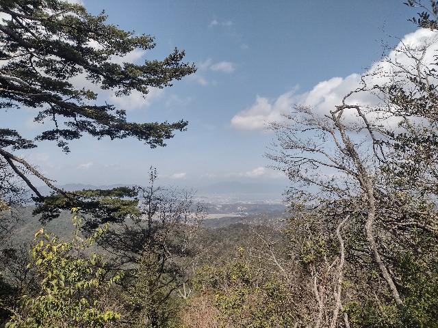 f:id:developingexplorer:20240323205122j:image