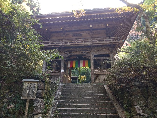 f:id:developingexplorer:20240407185039j:image