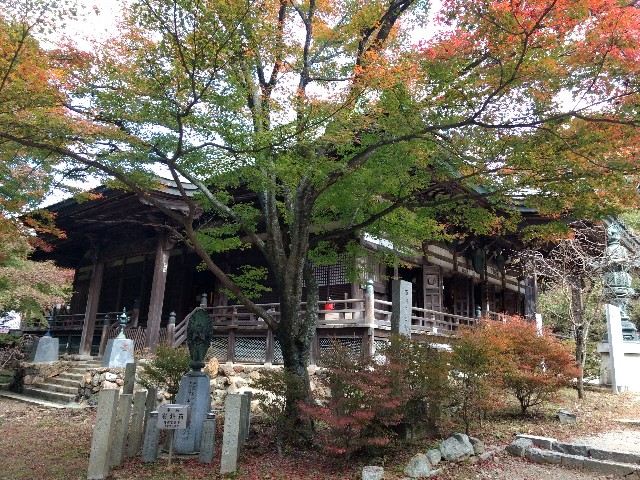 f:id:developingexplorer:20240407185208j:image