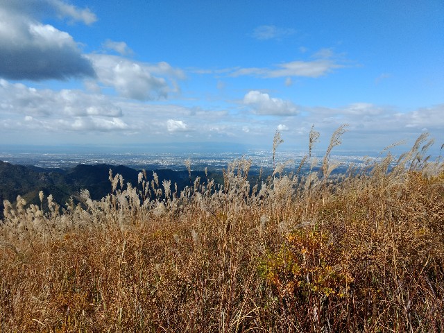 f:id:developingexplorer:20240407191423j:image