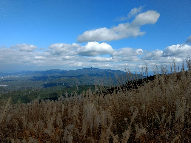 f:id:developingexplorer:20240407191750j:image
