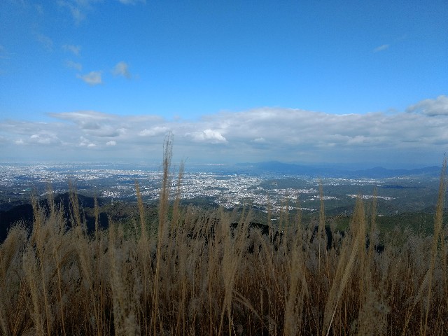 f:id:developingexplorer:20240407191820j:image