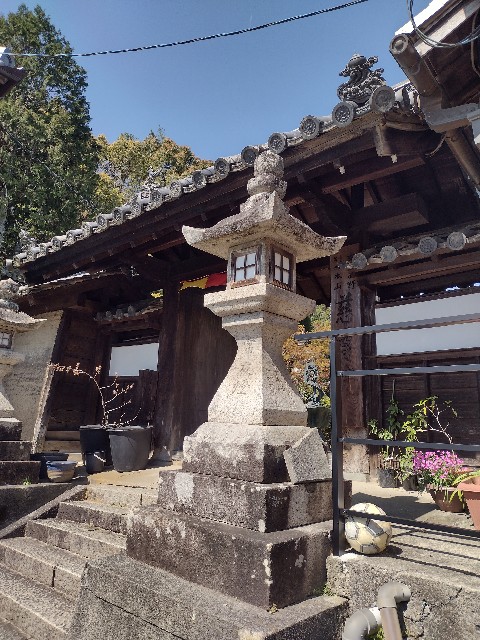 f:id:developingexplorer:20240421065241j:image