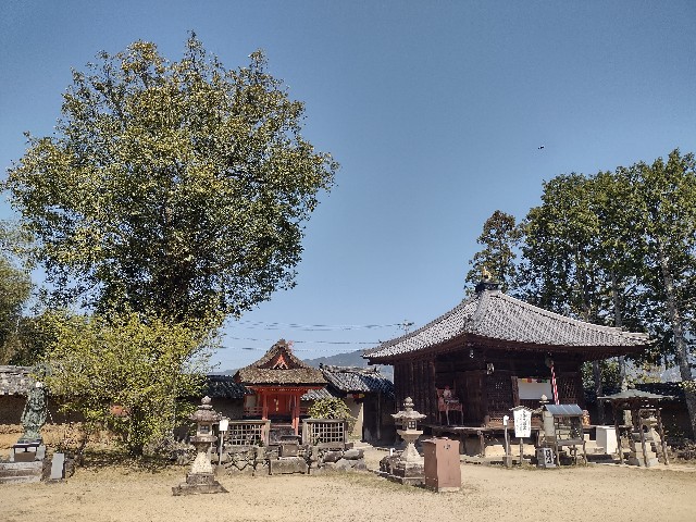 f:id:developingexplorer:20240421065345j:image