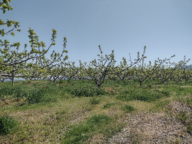 f:id:developingexplorer:20240421065548j:image