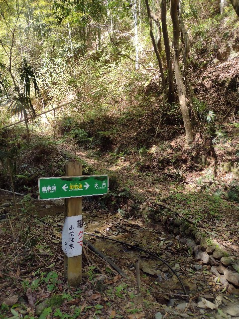 f:id:developingexplorer:20240421065645j:image