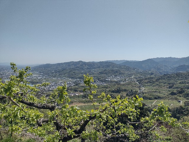 f:id:developingexplorer:20240421065751j:image