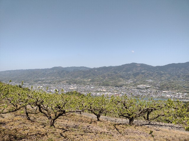 f:id:developingexplorer:20240421065800j:image