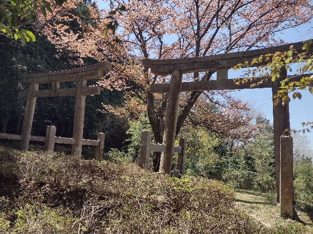 f:id:developingexplorer:20240421070213j:image
