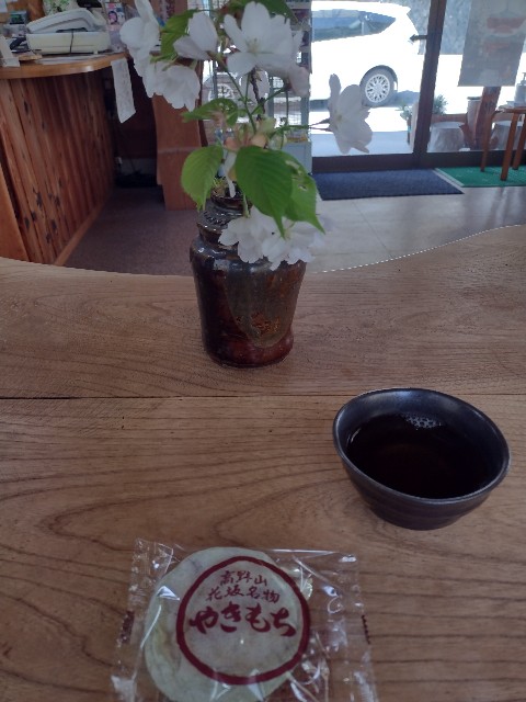 f:id:developingexplorer:20240421070836j:image