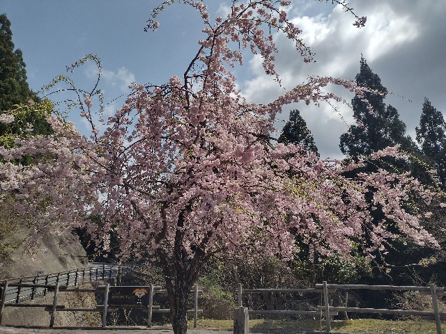 f:id:developingexplorer:20240421071056j:image