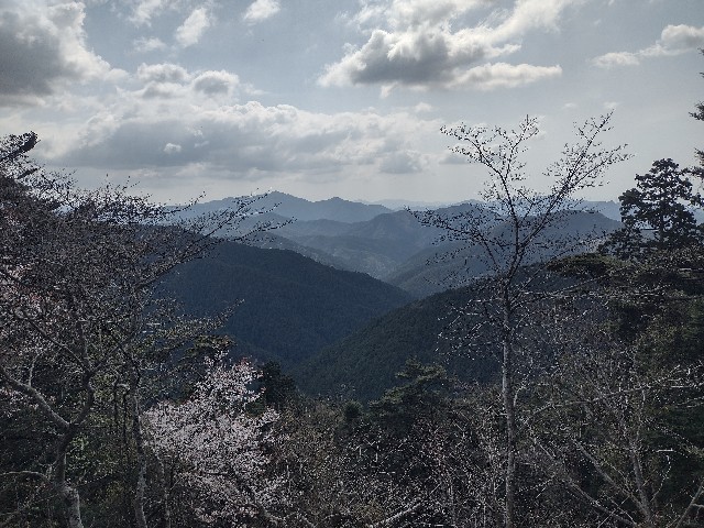 f:id:developingexplorer:20240421071105j:image