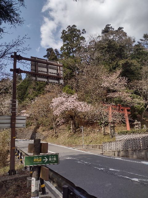 f:id:developingexplorer:20240421071132j:image