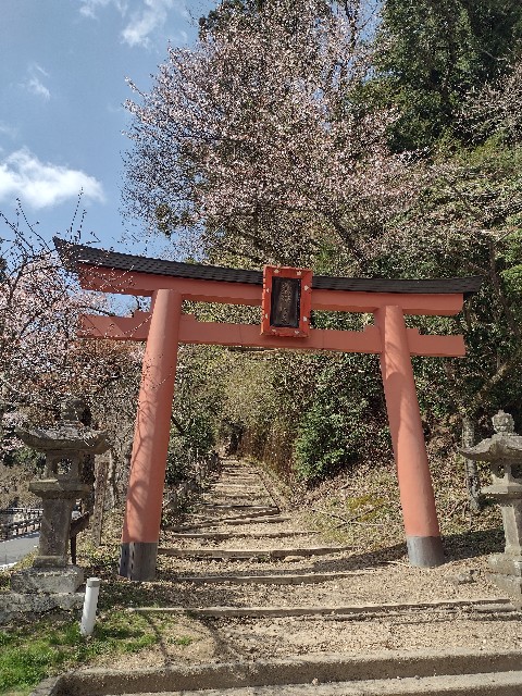 f:id:developingexplorer:20240421071202j:image