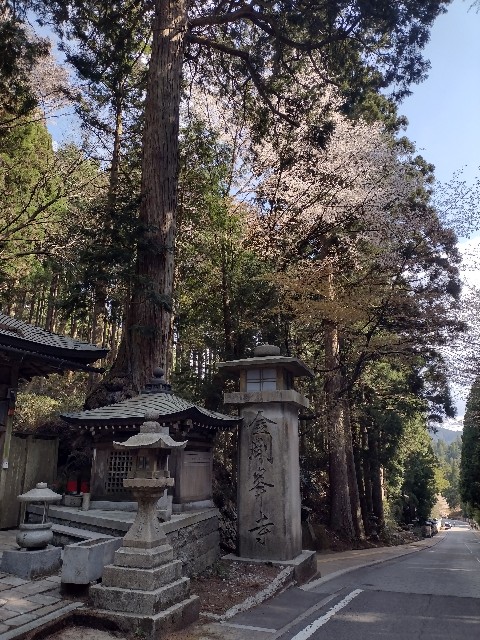 f:id:developingexplorer:20240421071625j:image