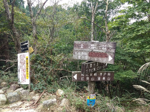 f:id:developingexplorer:20240428203142j:image