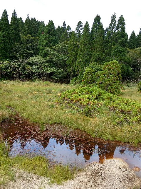 f:id:developingexplorer:20240428203424j:image