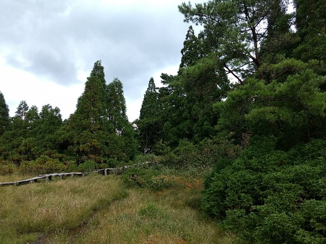 f:id:developingexplorer:20240428203518j:image