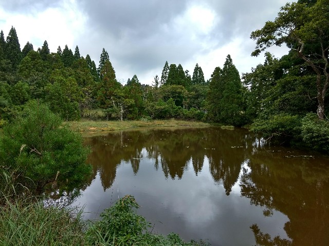 f:id:developingexplorer:20240428203603j:image
