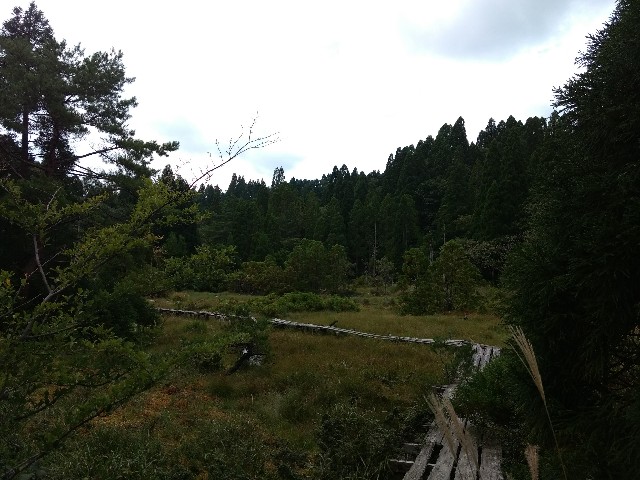 f:id:developingexplorer:20240428203727j:image