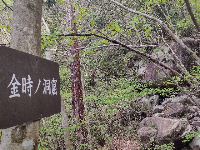 f:id:developingexplorer:20240504183336j:image