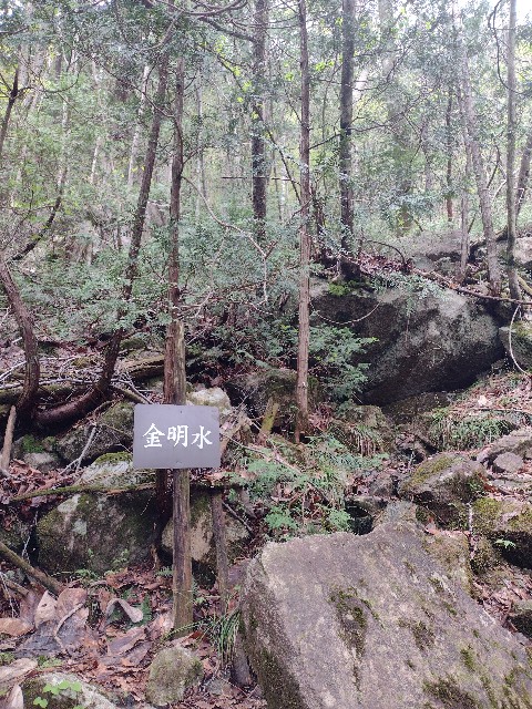 f:id:developingexplorer:20240504183645j:image