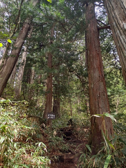 f:id:developingexplorer:20240504183708j:image