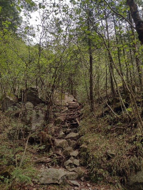 f:id:developingexplorer:20240504183954j:image