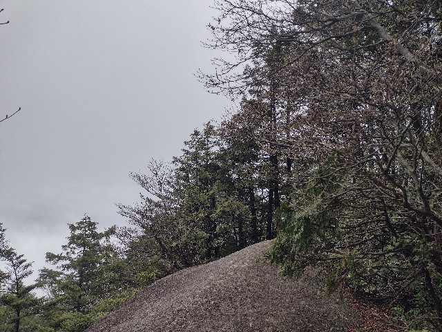 f:id:developingexplorer:20240504184442j:image