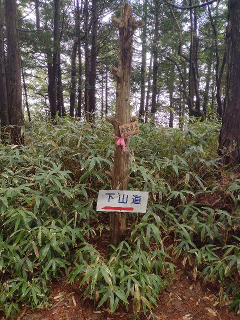 f:id:developingexplorer:20240504184452j:image
