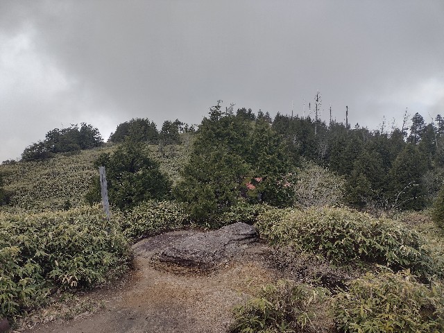 f:id:developingexplorer:20240504184622j:image