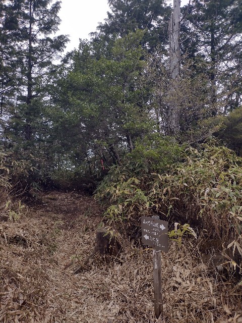 f:id:developingexplorer:20240504184708j:image