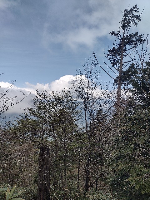 f:id:developingexplorer:20240504184724j:image