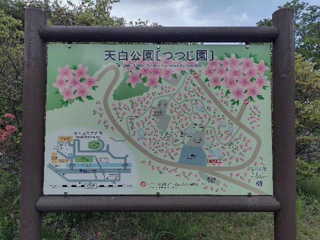 f:id:developingexplorer:20240504185055j:image