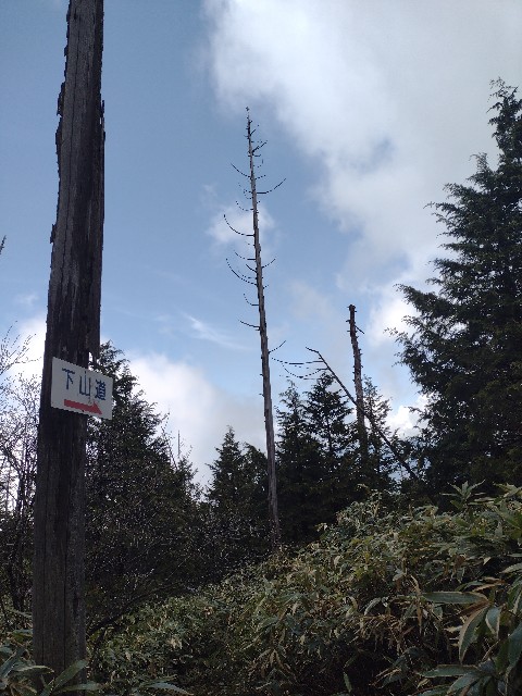f:id:developingexplorer:20240504185702j:image