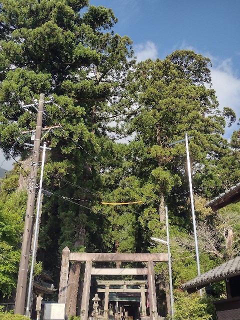 f:id:developingexplorer:20240509055256j:image