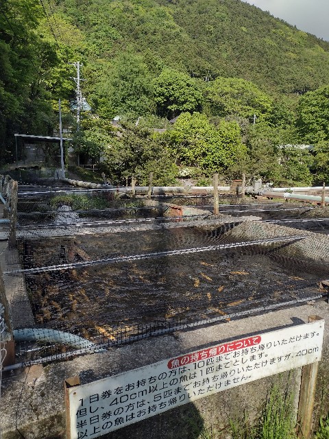 f:id:developingexplorer:20240509055358j:image
