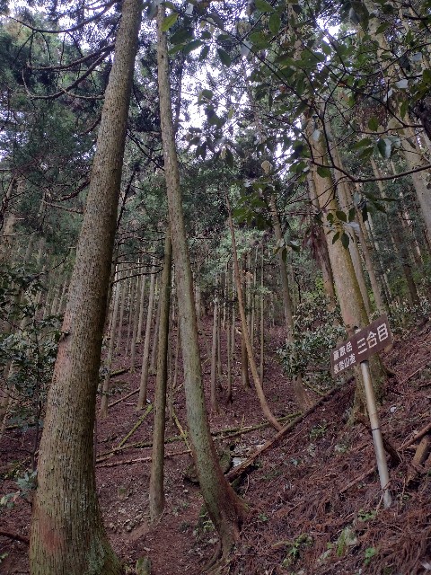 f:id:developingexplorer:20240509055552j:image