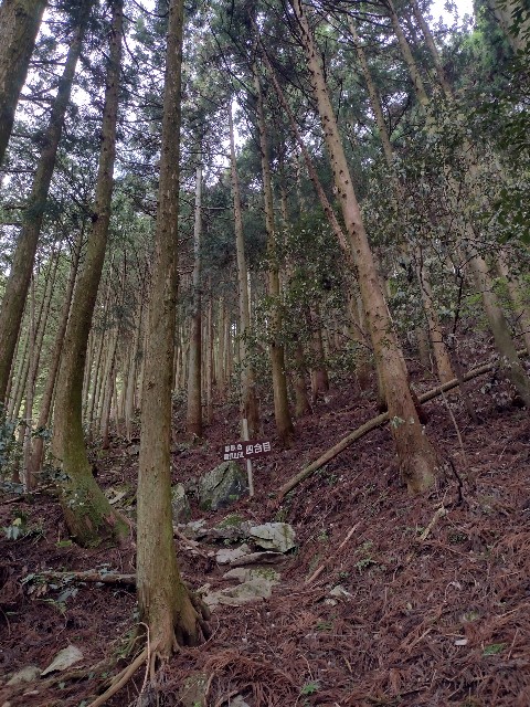 f:id:developingexplorer:20240509055606j:image